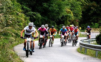 2019中国山地户外极限运动公开赛暨第七届 麦积山杯 全国山地自行车邀请赛开赛
